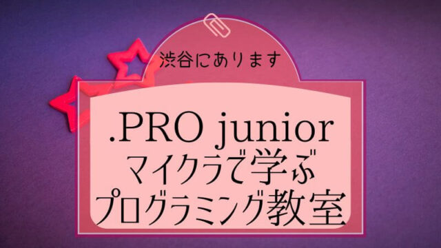 マイクラを楽しみながら学べる渋谷のプログラミング教室.PRO junior